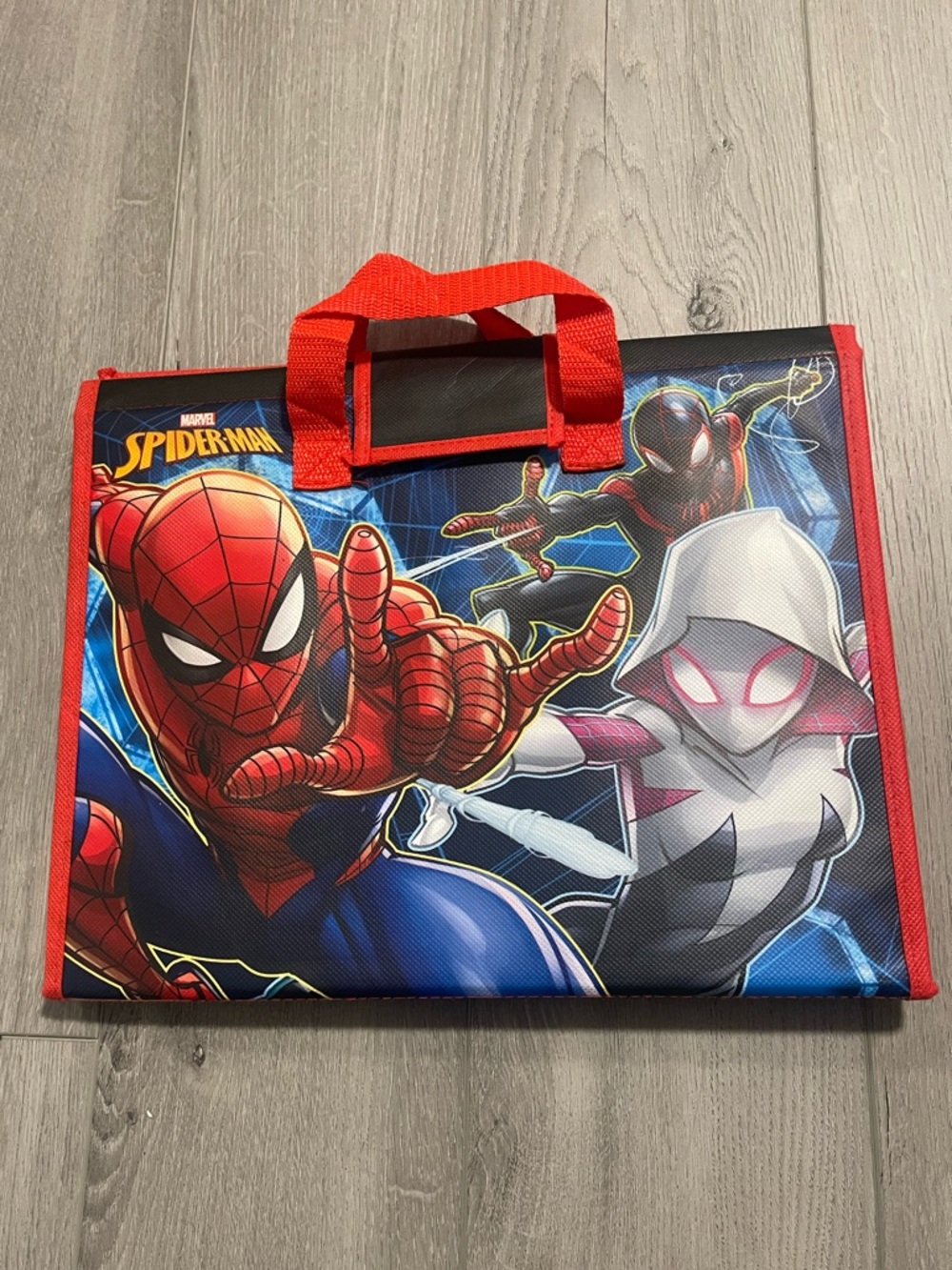 Marvel Spider-Man zipped school reading book bag with a carry handle